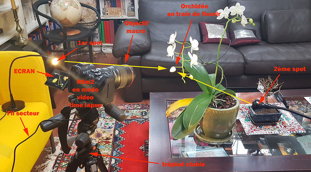 L’art délicat du Time-Lapse